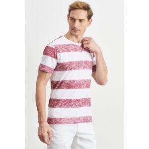 ALTINYILDIZ CLASSICS Men's White-burgundy Slim Fit Slim Fit Crew Neck 100% Cotton Short Sleeve T-Shirt