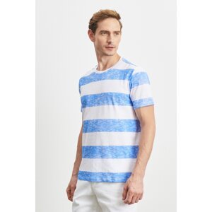 ALTINYILDIZ CLASSICS Men's White-blue Slim Fit Slim Fit Crew Neck 100% Cotton Short Sleeve T-Shirt