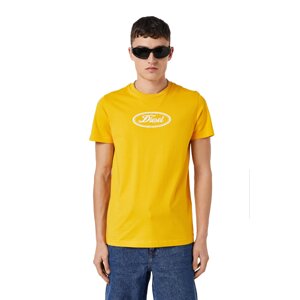 Diesel T-shirt - T-DIEGOR-C14 T-SHIRT yellow