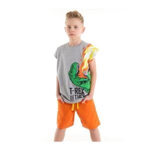 Mushi T-rex Flame Boy's T-shirt Shorts Set