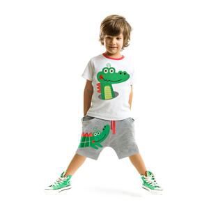 Denokids Alligator Baggy Boys T-shirt Shorts Set