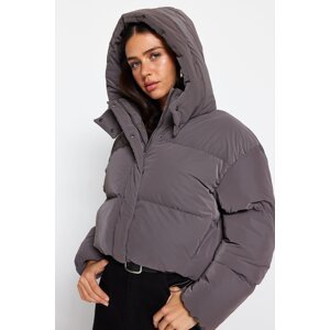 Trendyol Mink Oversize Hooded Waterproof Down Jacket