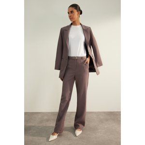 Trendyol Anthracite Premium Belted Straight/Straight Cut Woven Trousers