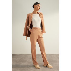 Trendyol Mink Premium Belted Straight/Straight Cut Woven Trousers