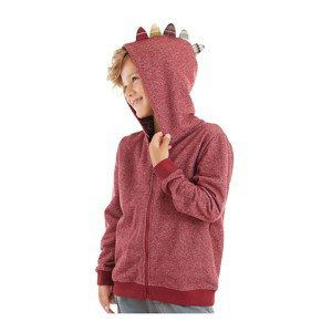 Denokids Dragon Boy Claret Red Hoodie and Zipper Sweatshirt