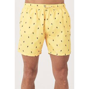 AC&Co / Altınyıldız Classics Men's Yellow Standard Fit Casual Patterned Swimwear Marine Shorts