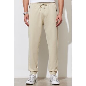 ALTINYILDIZ CLASSICS Men's Beige Standard Fit Regular Cut Sweatpants