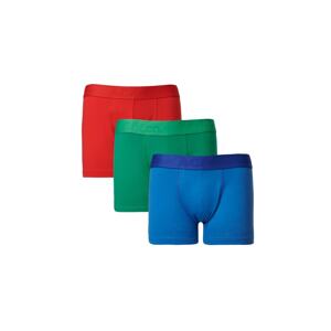 AC&Co / Altınyıldız Classics Men's Sax-Red 3-Pack of Flexible Cotton Boxers.