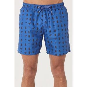 AC&Co / Altınyıldız Classics Men's Indigo Standard Fit Casual Patterned Swimwear Marine Shorts