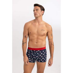 DEFACTO Regular Fit Looney Tunes Licensed Knitted Boxer