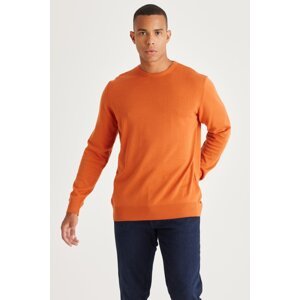 ALTINYILDIZ CLASSICS Men's Tile Standard Fit Normal Cut Crew Neck Cotton Knitwear Sweater