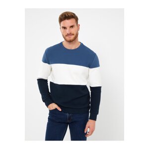 LC Waikiki Men's Crew Neck Long Sleeve Color Block Sweatshirt