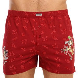 Men's shorts Andrie red (PS 5543 A)