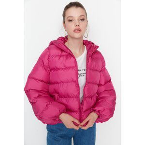 Trendyol Winter Jacket - Lilac - Puffer