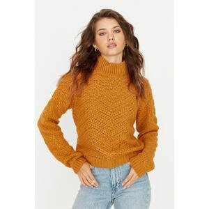 Trendyol Mustard Turtleneck Knitwear Sweater