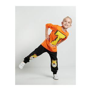 Denokids T Tiger Boys Pants T-shirt Suit