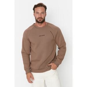 Trendyol Mink Men Regular/Regular Cut, Text Printed Cotton Sweatshirt with Raglan Sleeves
