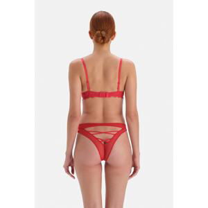 Dagi Red Fully Padded Underwire Lace Bra