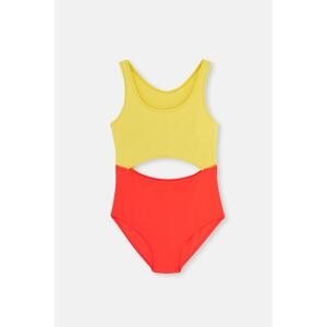 Dagi Yellow - Fuchsia Partial Swimsuit