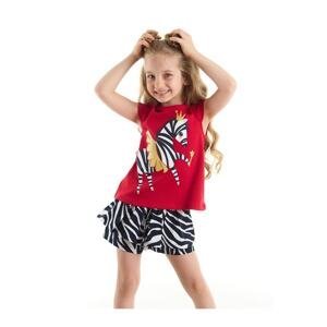 Denokids Ballerina Zebra Girls Kids T-shirt Shorts Set