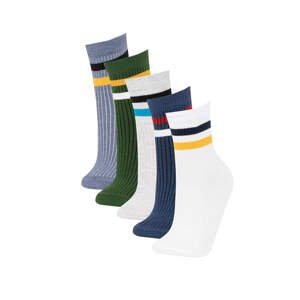 DEFACTO Boy 5 Piece Long Socks