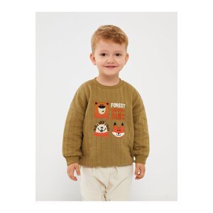 LC Waikiki Crew Neck Long Sleeve Baby Boy Sweatshirt