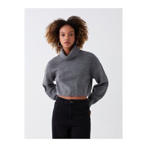 LC Waikiki Women's Turtleneck Plain Long Sleeve Crop Knitwear Sweater