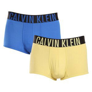 2PACK pánské boxerky Calvin Klein vícebarevné