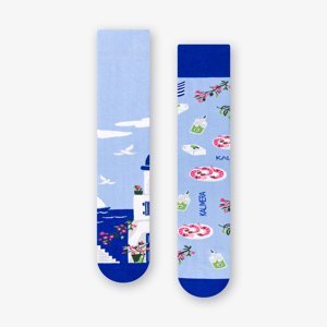 Ponožky Santorini 078-A063 Modrá Modrá