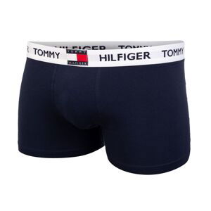 Tommy Hilfiger UM0UM01810CHS