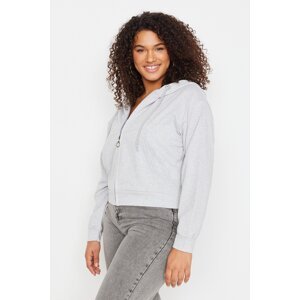 Trendyol Curve Gray Hooded Basic Thin Knitted Crop Sweatshirt