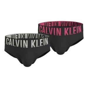 Calvin Klein Underwear Woman's 2Pack Underpants 000NB2601AGXI