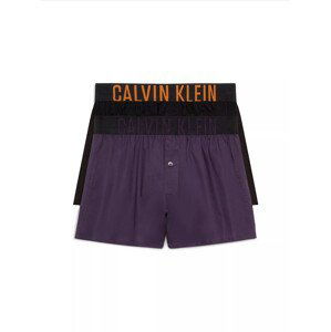 2PACK pánské trenky Calvin Klein vícebarevné