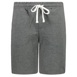 Trendyol Anthracite Men's Regular/Normal Fit Contrast Pile Shorts