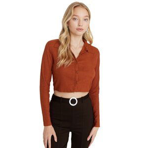 Trendyol Tile Buttoned Fitted/Situated Polo Neck Crepe/Textured Crop Knitted Blouse