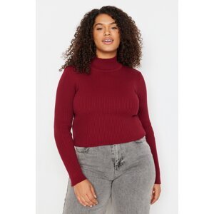 Trendyol Curve Burgundy Half Turtleneck Fine Knitwear Sweater