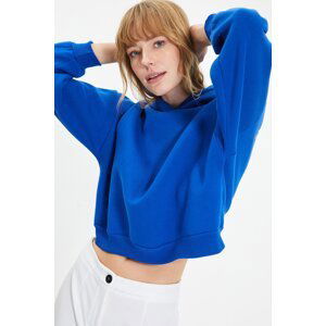 Trendyol Saks Back Print Detailed Hooded Thick Fleece Knitted Sweatshirt