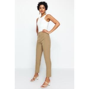 Trendyol Brown Cigarette Skinny Leg Woven Trousers with Waist Stitching Detail
