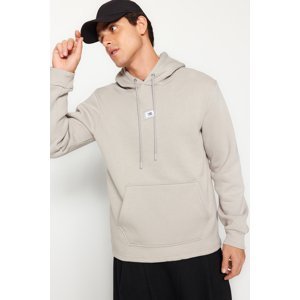 Trendyol Men's Gray Regular/Real Fit Hooded Long Sleeve Men's Sweatshirt