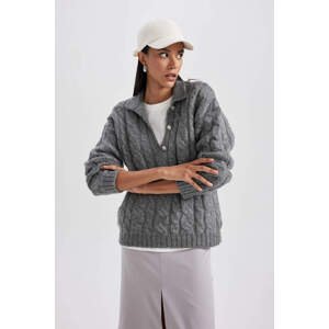 DEFACTO Relax Fit Polo Collar Pullover