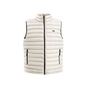D1fference Men's Lined Water And Windproof Regular Fit Stone Puffer Vest