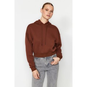 Trendyol Brown Thick Fleece Hooded Comfort Fit Crop Basic Knitted Sweatshirt