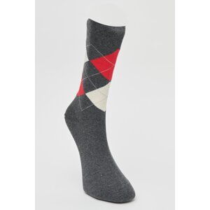 ALTINYILDIZ CLASSICS Men's Anthracite-Red-Ecru Patterned Cotton Casual Socks