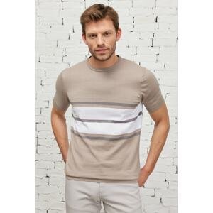 ALTINYILDIZ CLASSICS Men's Mink-ecru Standard Fit Regular Cut Crew Neck 100% Cotton Short Sleeve Striped Knitwear T-Shirt