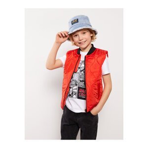 LC Waikiki LCW ECO College Collar Patterned Boys Vest
