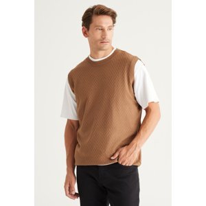 ALTINYILDIZ CLASSICS Men's Mink Standard Fit Regular Fit Crew Neck Sweater