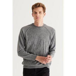 ALTINYILDIZ CLASSICS Men's Gray Standard Fit Regular Fit Crew Neck Jacquard Knitwear Sweater