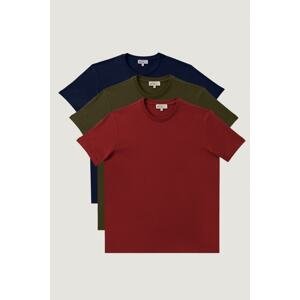 AC&Co / Altınyıldız Classics Men's Burgundy-lilac-khaki Slim Fit Slim Fit Crew Neck 3-Pack of 100% Cotton T-Shirt