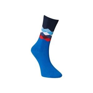 ALTINYILDIZ CLASSICS Men's Blue Patterned Blue Cotton Casual Socks
