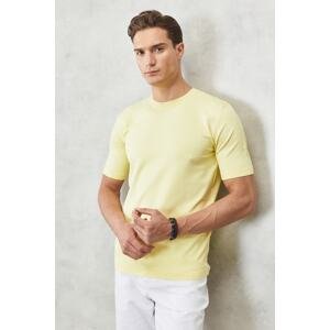 ALTINYILDIZ CLASSICS Men's Light Yellow Standard Fit Normal Cut Crew Neck Plain Knitwear T-Shirt
